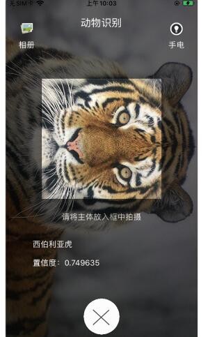 猎鹰动物识别截图0