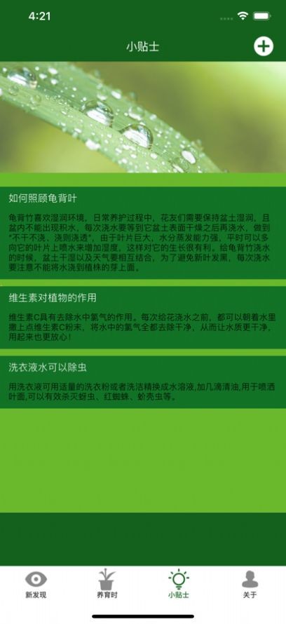 满眼青翠  V 1.0.0