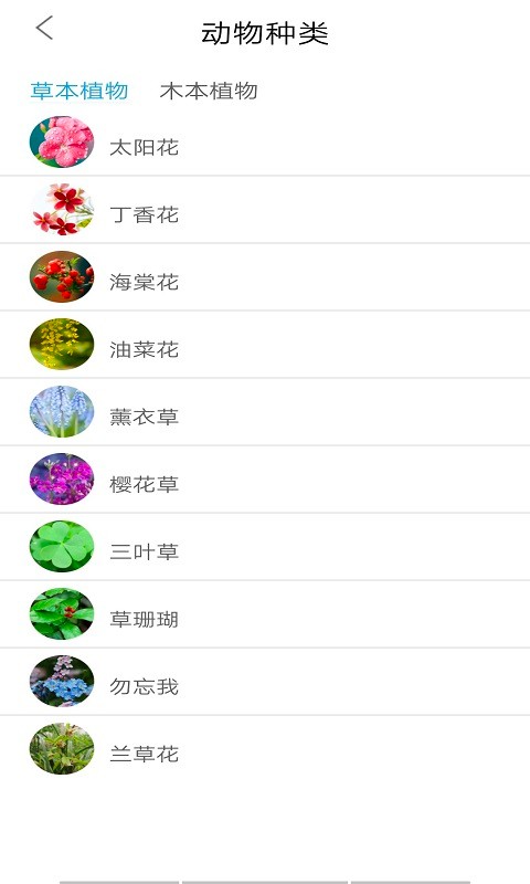 植物品鉴app v1.0