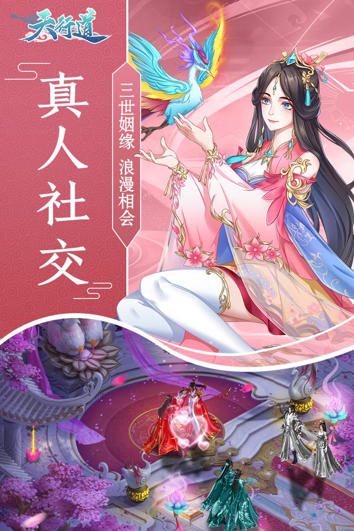 天行道.jpg