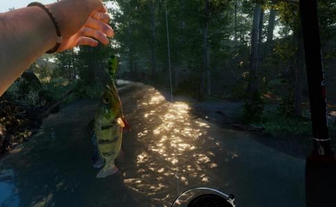 终极钓鱼模拟器2 2020-03-09 14:39