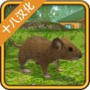 老鼠模拟器汉化版