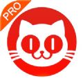 猫眼电影专业版实时票房app官方版 