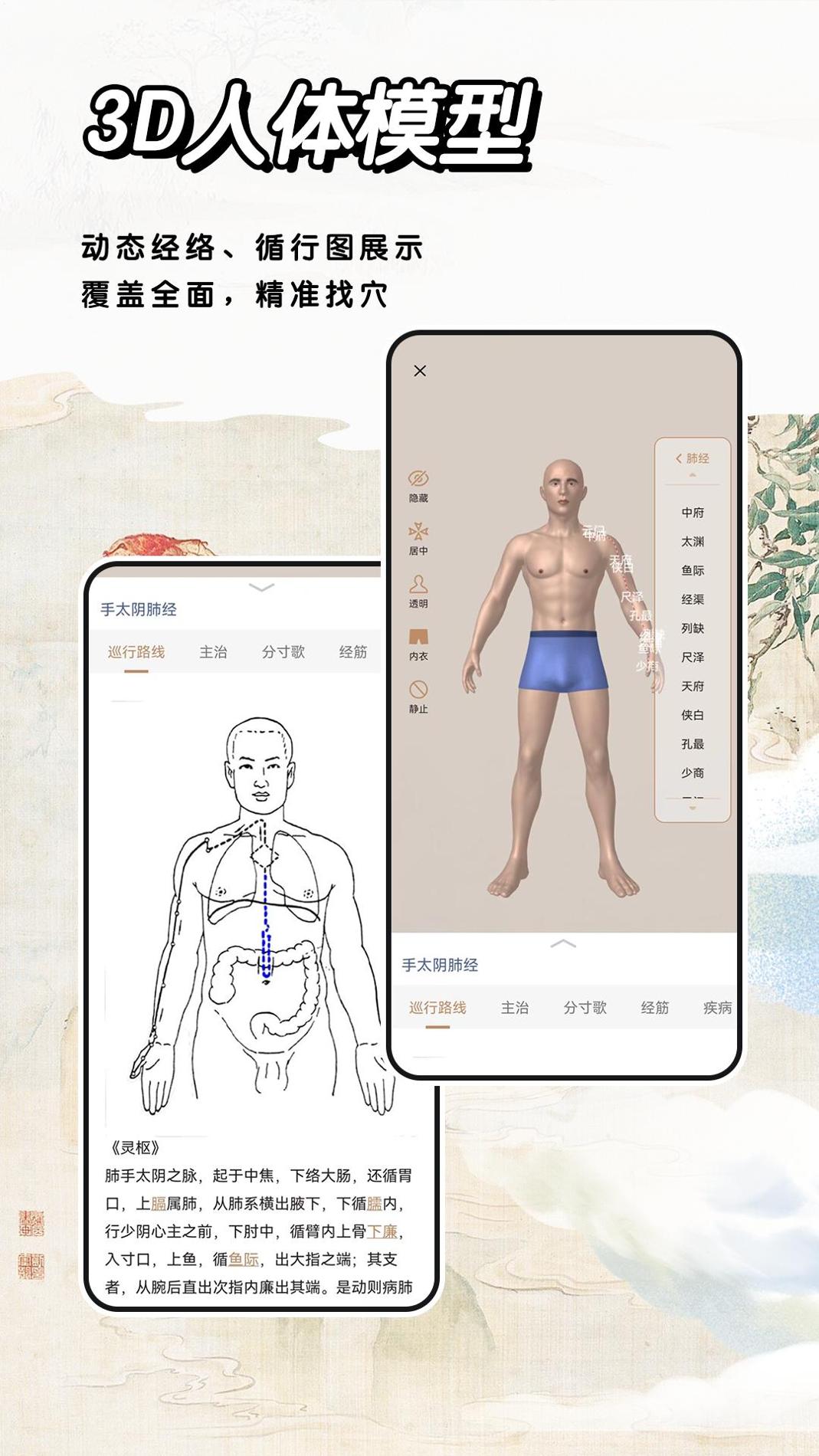 经络穴位 v3.2.5