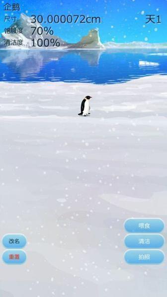 治愈的企鹅育成 v3.0.5