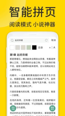 ViaX浏览器插件版  v1.6.3