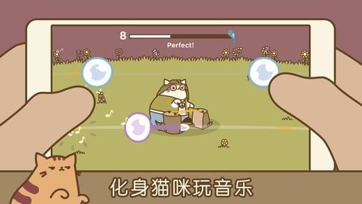 音乐猫咪 v3.1.5