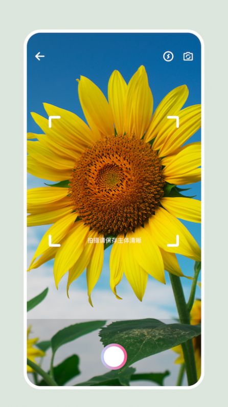 识别花扫一扫软件app官方版  v4.2.3