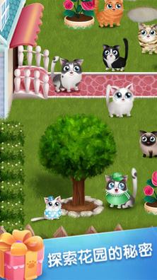 口袋猫咪 v3.0.5