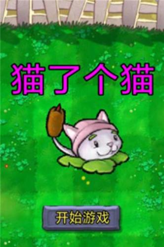 猫了个猫 v1.0.1