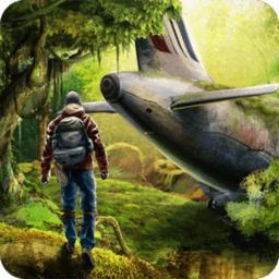 最后生存岛中文版