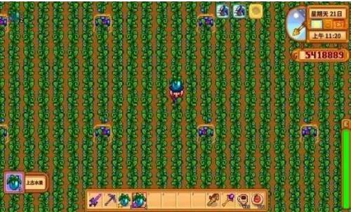 星露谷物语 1.6汉化可联机版截图2