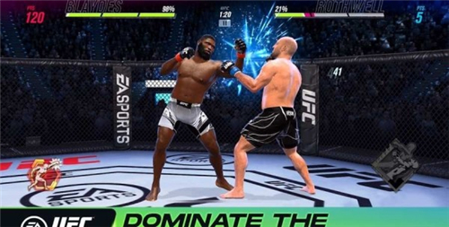 UFC终极格斗冠军 v1.4.03