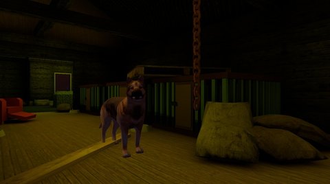 狗先生最新版本