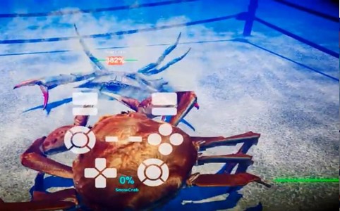 龙虾大战螃蟹 2019-12-16 16:47