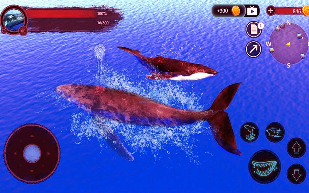 模拟座头鲸The Humpback Whales v1.0.6
