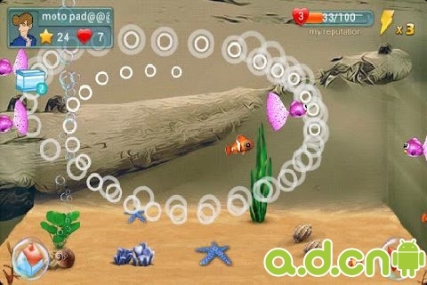 水族箱 Fish Live v1.3.1截图2