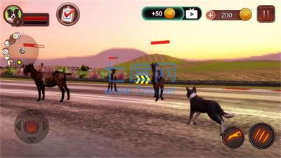 边境牧羊犬模拟器Border Collie Simulator