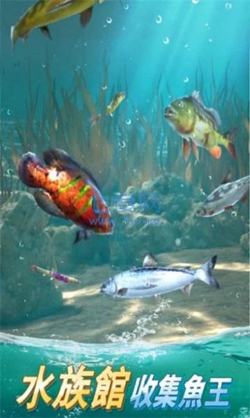 钓鱼大师挑战游戏