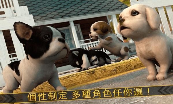 超级小汪大闯关游戏官方版图片1