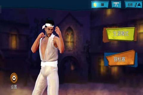 决胜空手道2020 v1.1.8