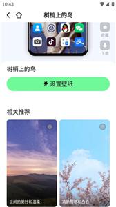 悟空壁纸  v1.0.0