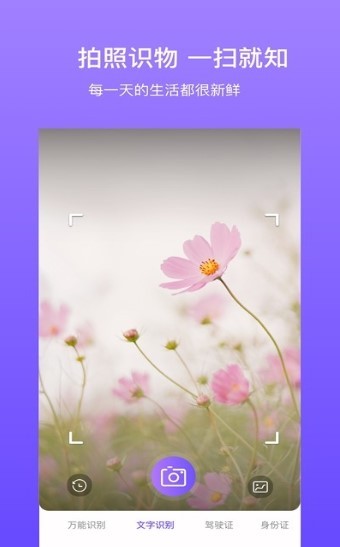 拍拍识图  v1.0.7