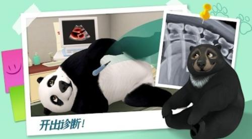 我的动物医院 2024-06-25 15:08