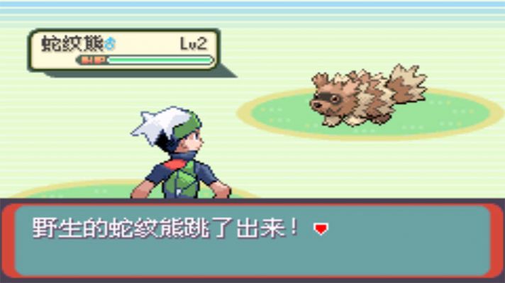 口袋妖怪夜冥泣啼金手指汉化最新版 