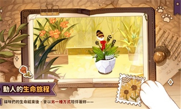 猫逝最新版截图3
