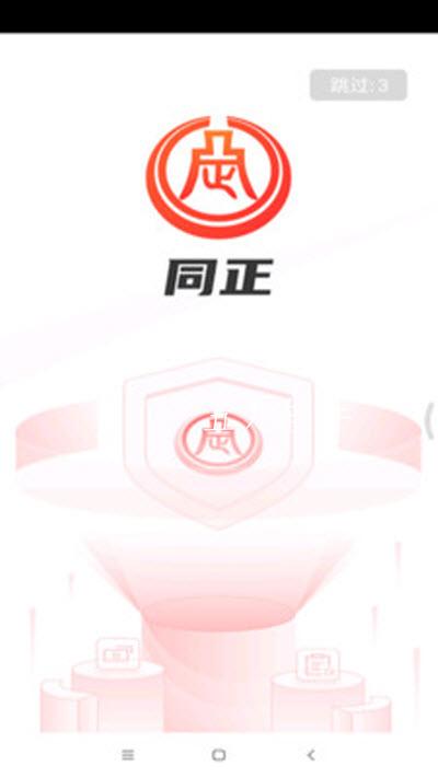 同正 v2.4.5