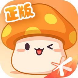 冒险岛枫之传说