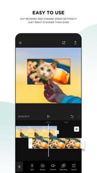 CapCut v3.0.5