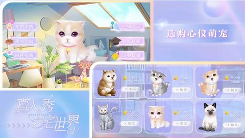 真人秀之宅世界 v1.0