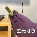 茄总表情包