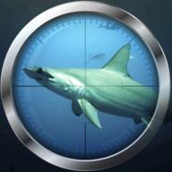 海洋猎人中文版