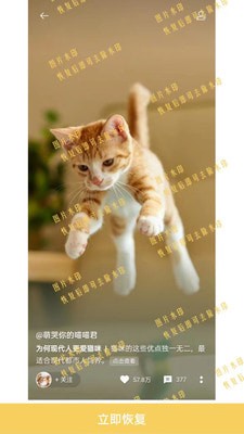 数据恢复工具 v1.0.9
