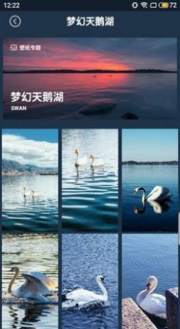 壁纸图片大师 v1.2.5