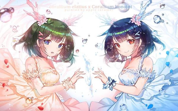 雨后的小故事  v1.0