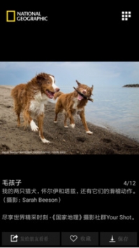 国家地理每日精选 v2.0.5
