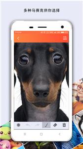 马赛克修图  v2.9.16