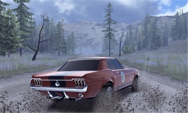 CarX拉力赛中文手机版  v18916