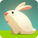 GreedyRabbit(贪婪的兔子)