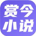 赏今小说