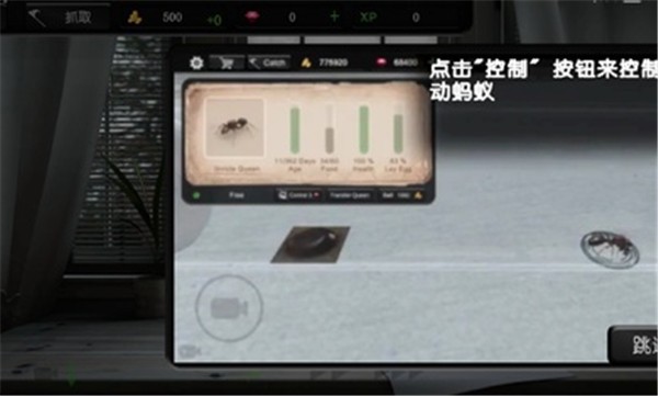 蚂蚁模拟大亨中文正版  v2.6