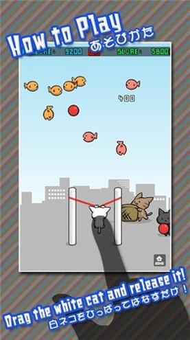 猫咪射击游戏