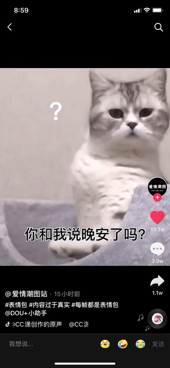 你要去睡觉你和我说晚安了吗表情包 v1.0