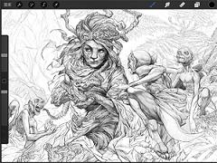 procreate 版本:v4.5.3