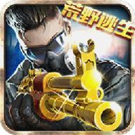 火线冲突破解版