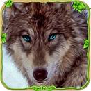Furious Wolf Simulator(愤怒之狼无限金币最新版)